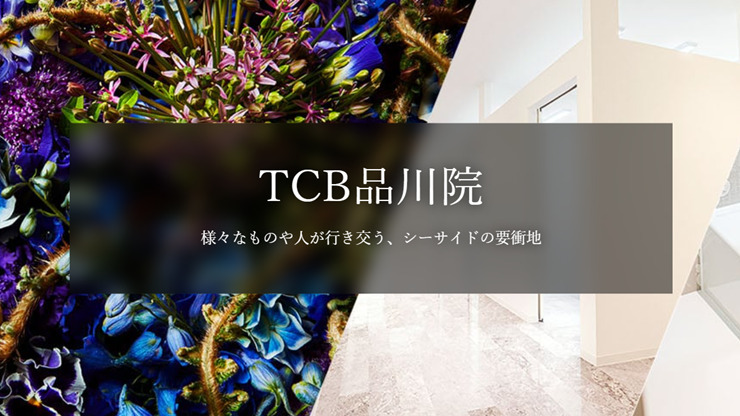 TCB東京中央美容外科（品川院）